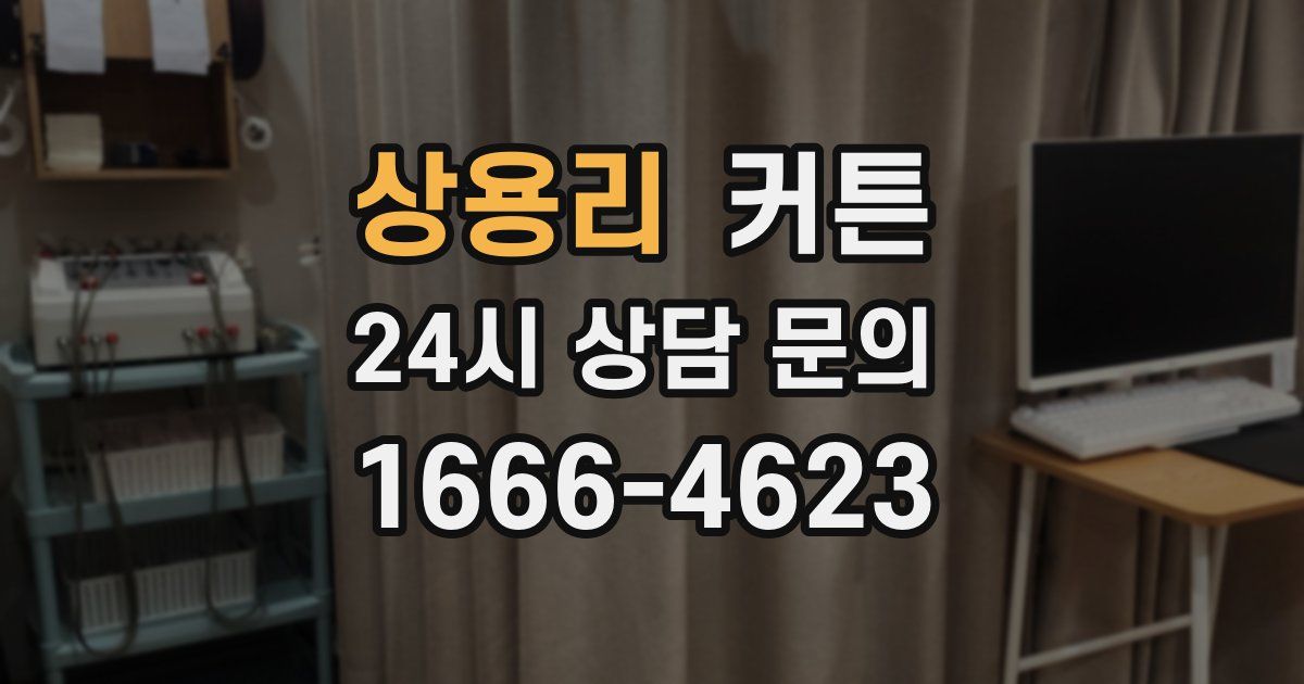상용리 커튼