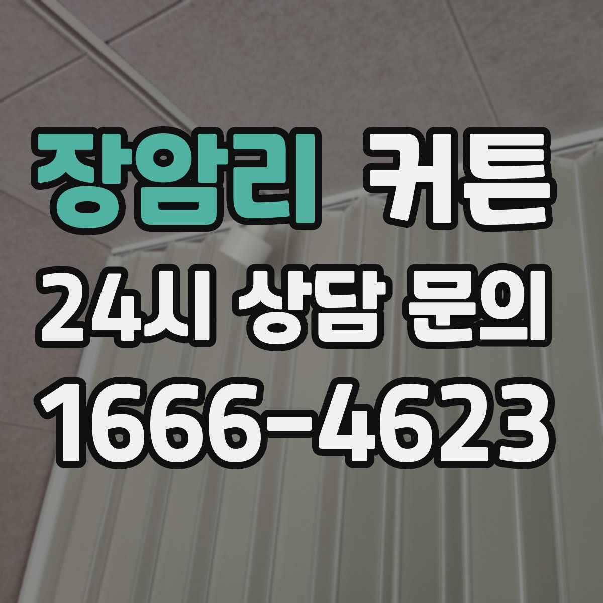 장암리 커튼