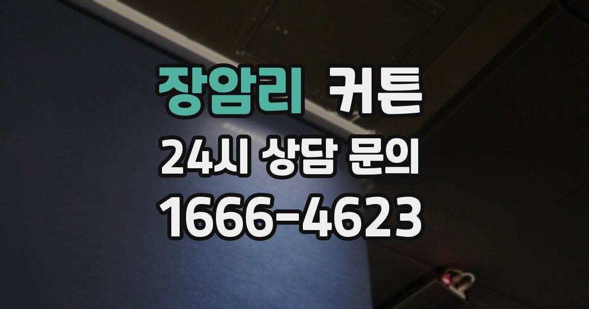 장암리 커튼