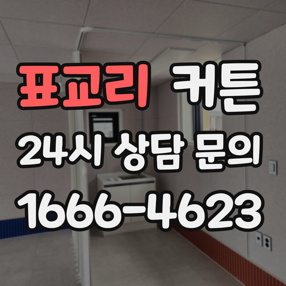 표교리 커튼