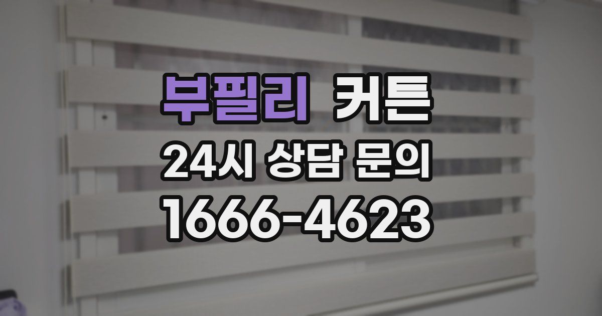 부필리 커튼