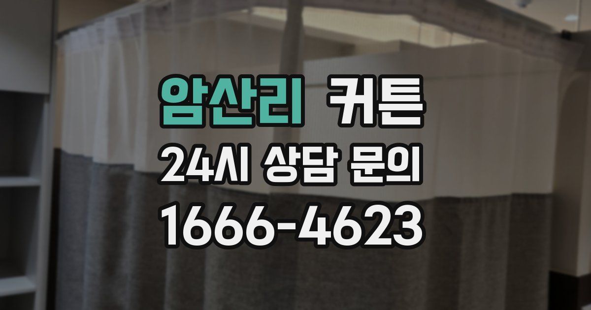 암산리 커튼