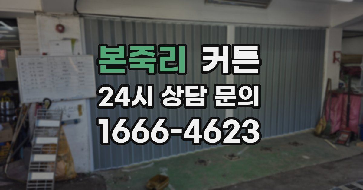 본죽리 커튼