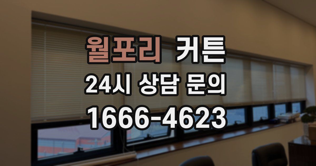 월포리 커튼