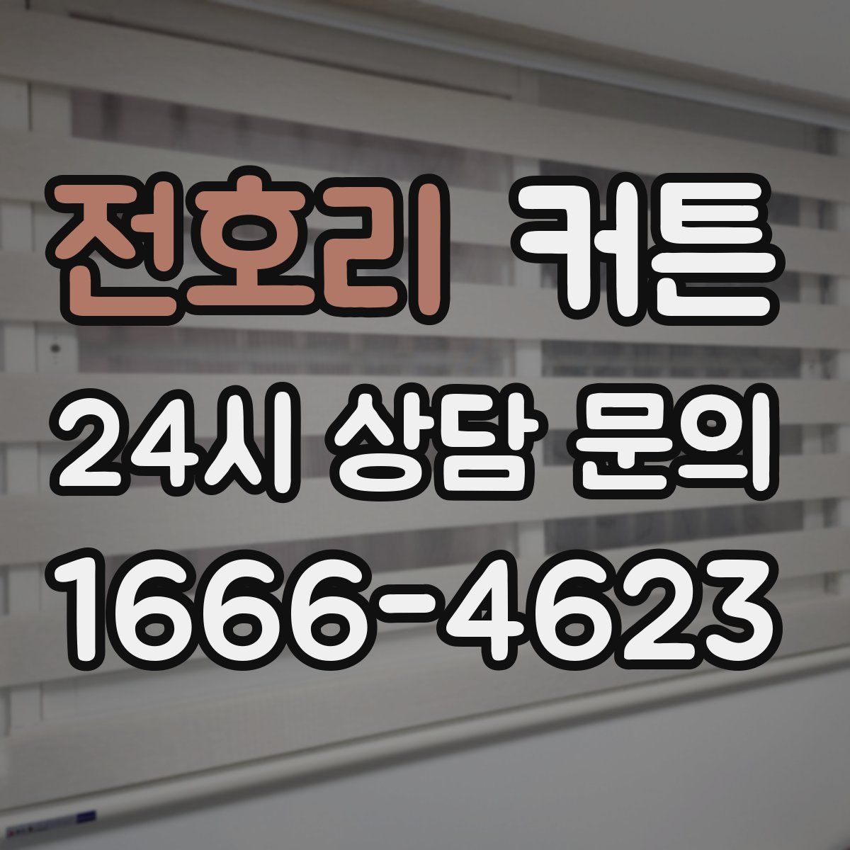 전호리 커튼
