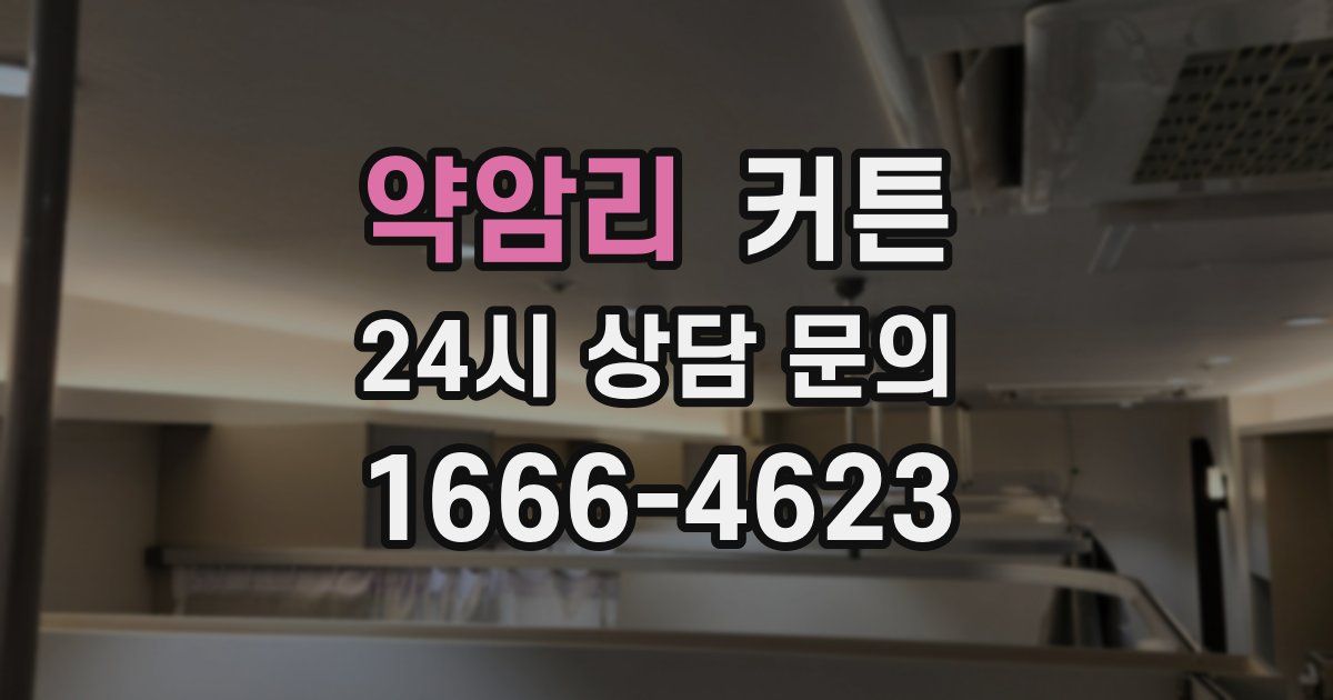 약암리 커튼
