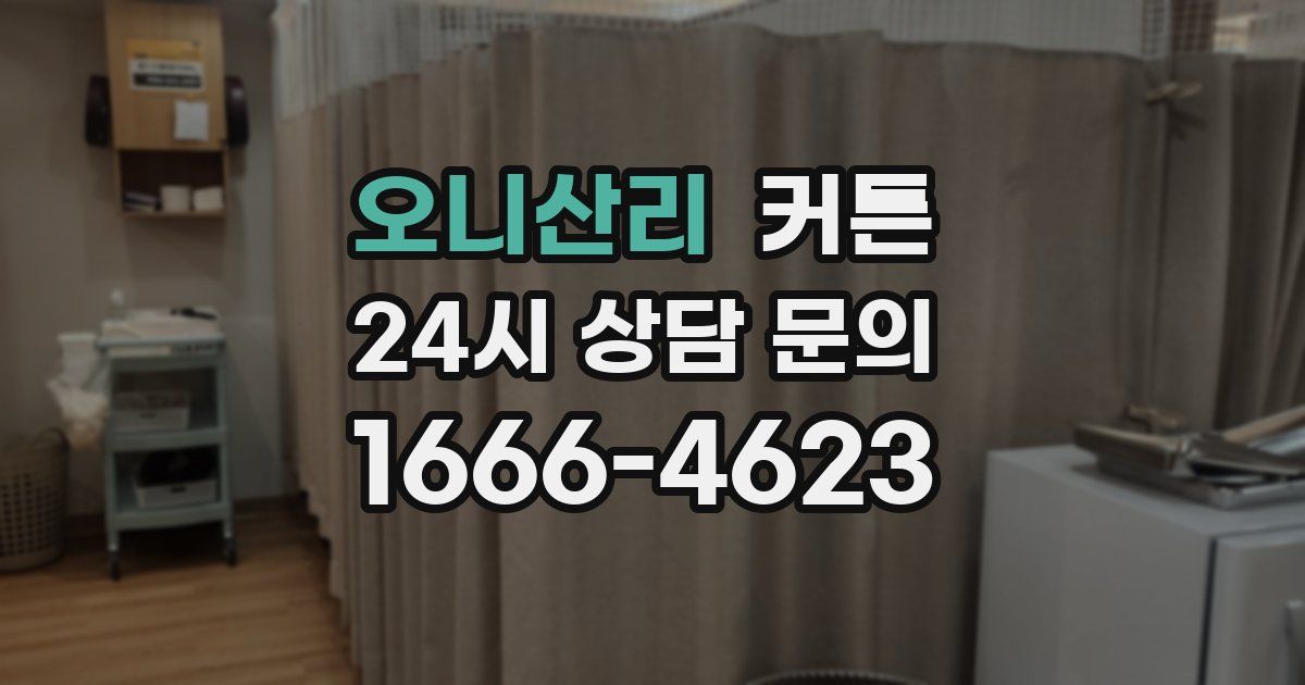 오니산리 커튼