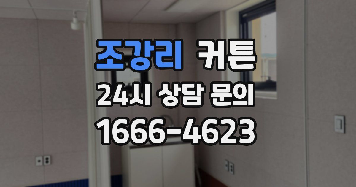 조강리 커튼