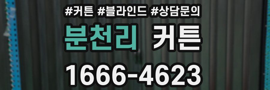 분천리 커튼