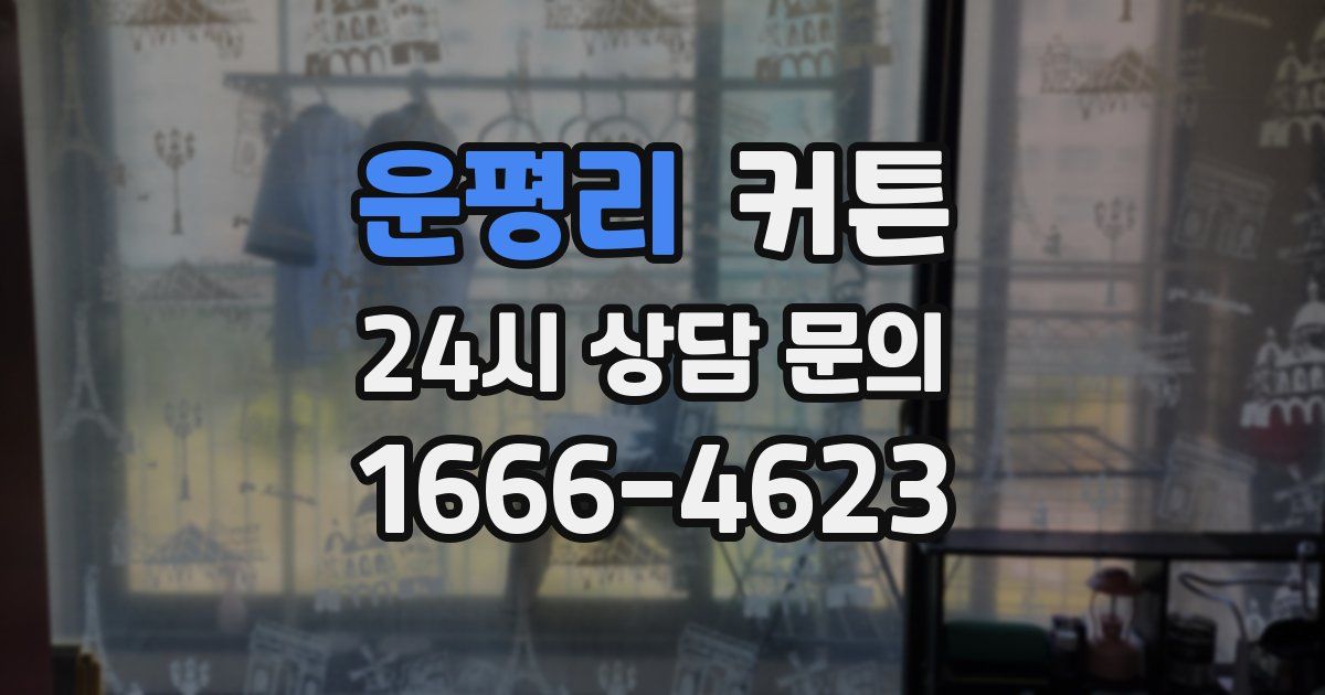 운평리 커튼