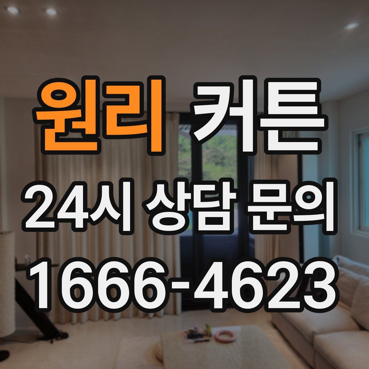 원리 커튼