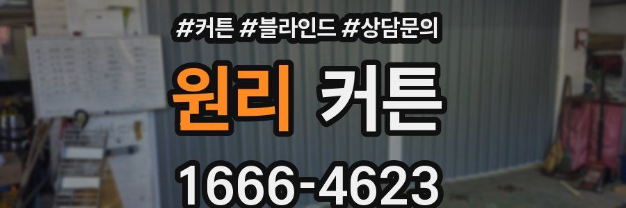 원리 커튼