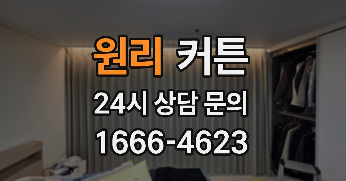 원리 커튼