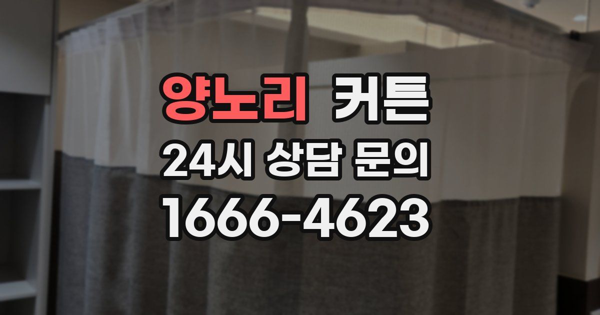양노리 커튼