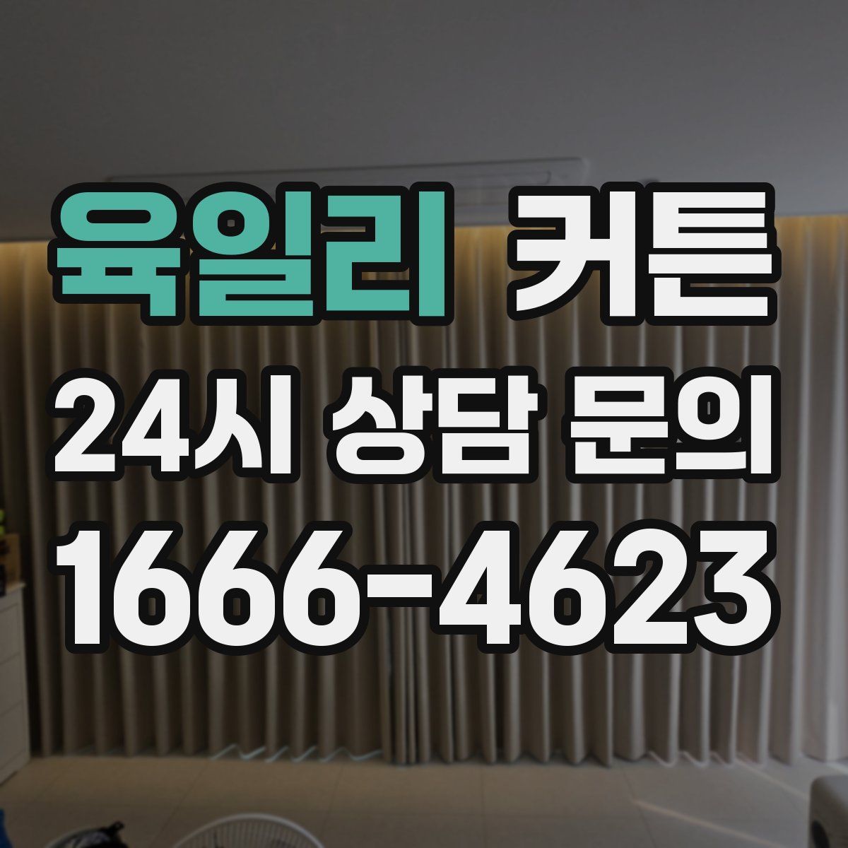 육일리 커튼