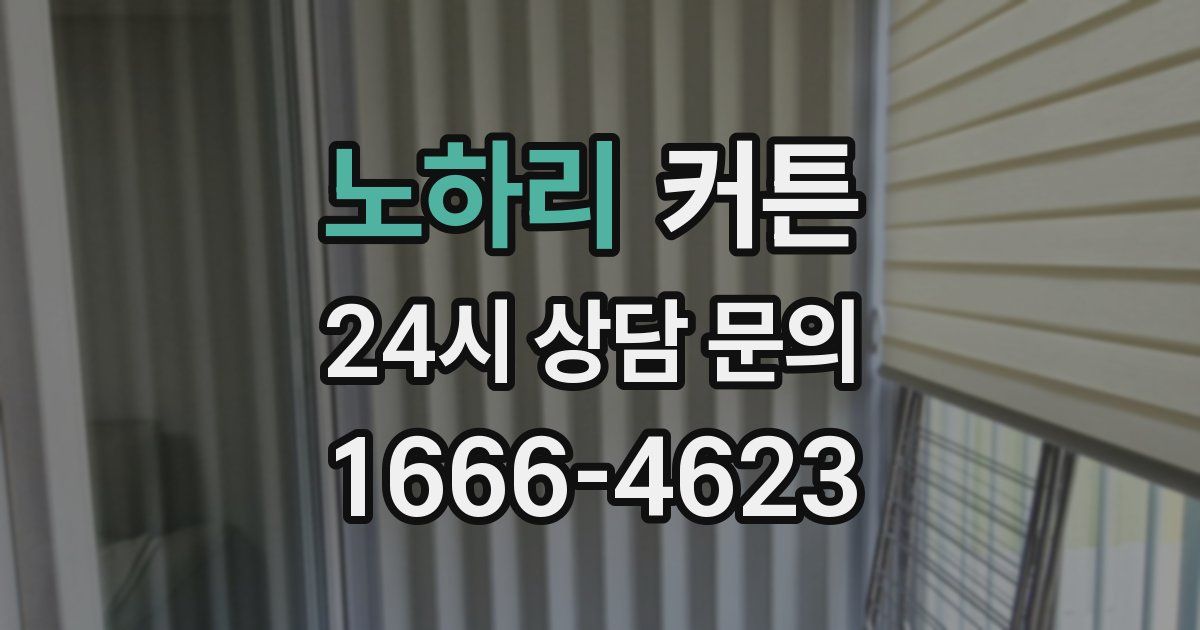 노하리 커튼