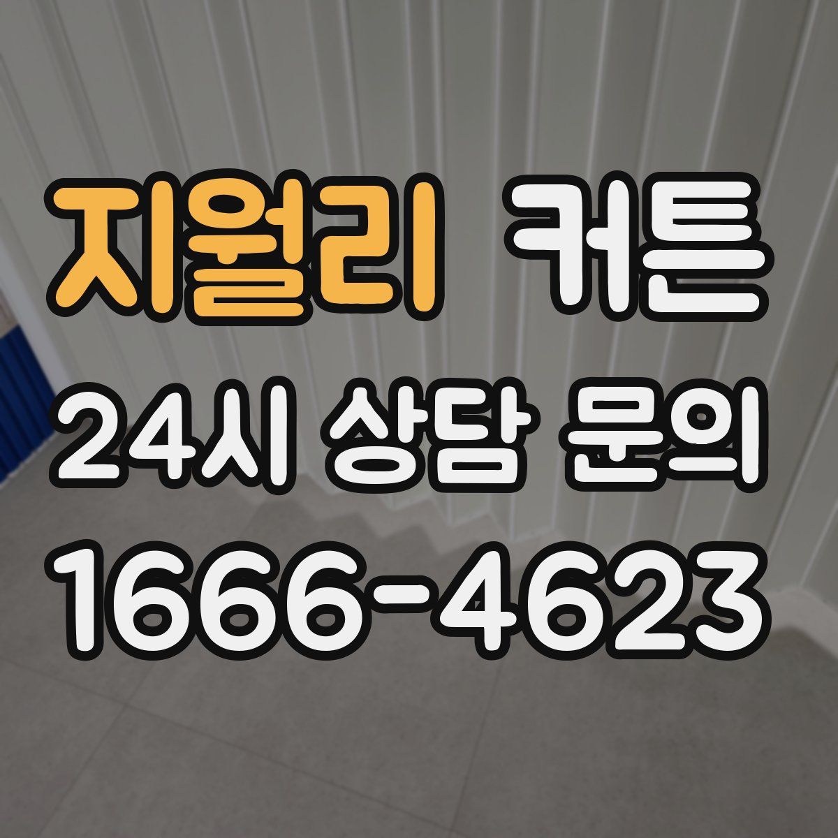 지월리 커튼