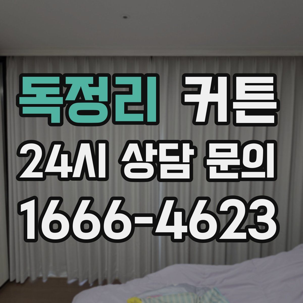독정리 커튼