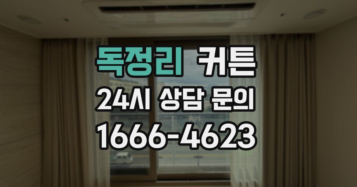 독정리 커튼