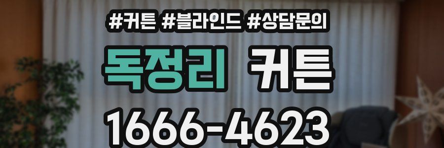 독정리 커튼