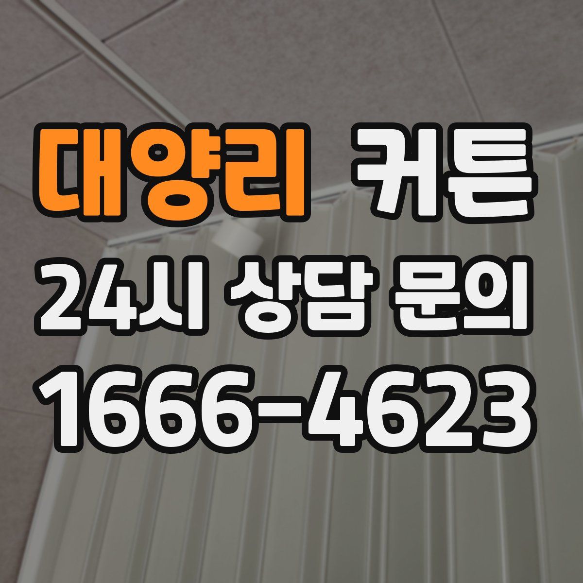 대양리 커튼