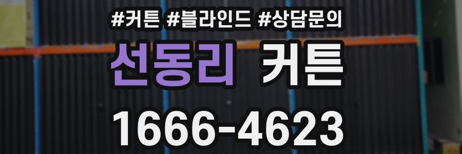 선동리 커튼