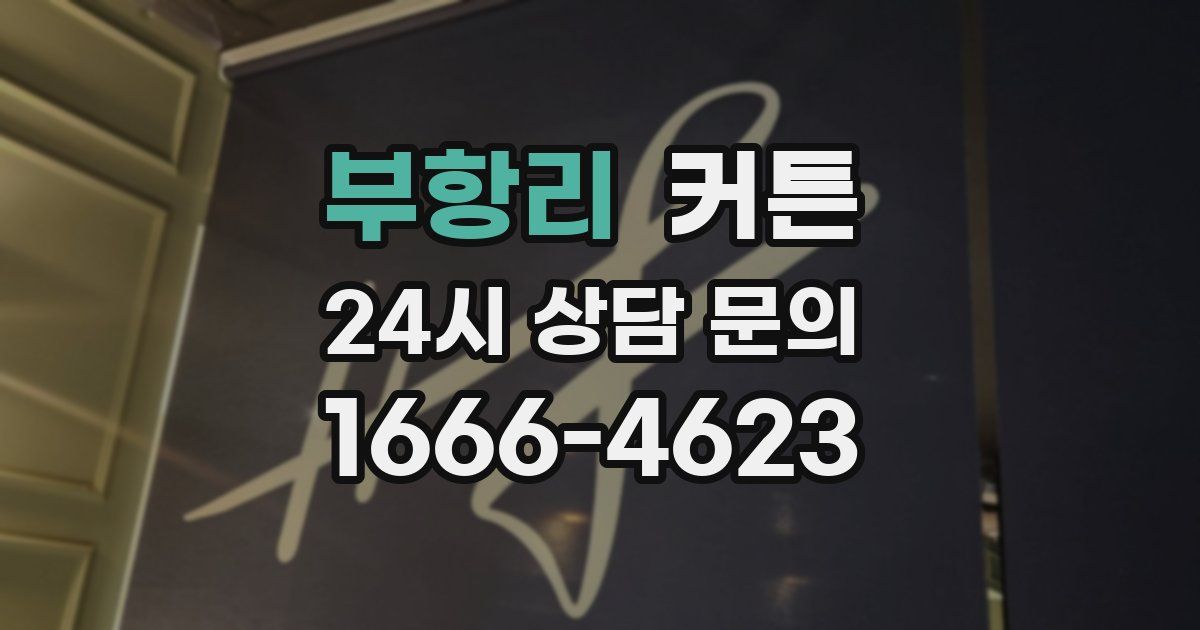 부항리 커튼