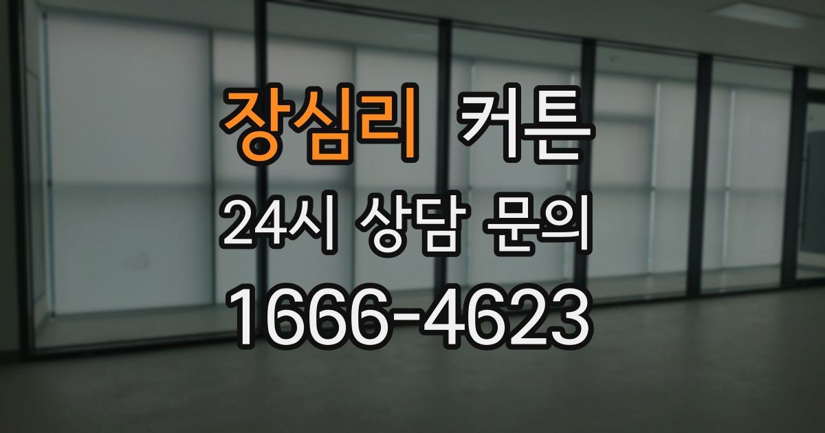 장심리 커튼