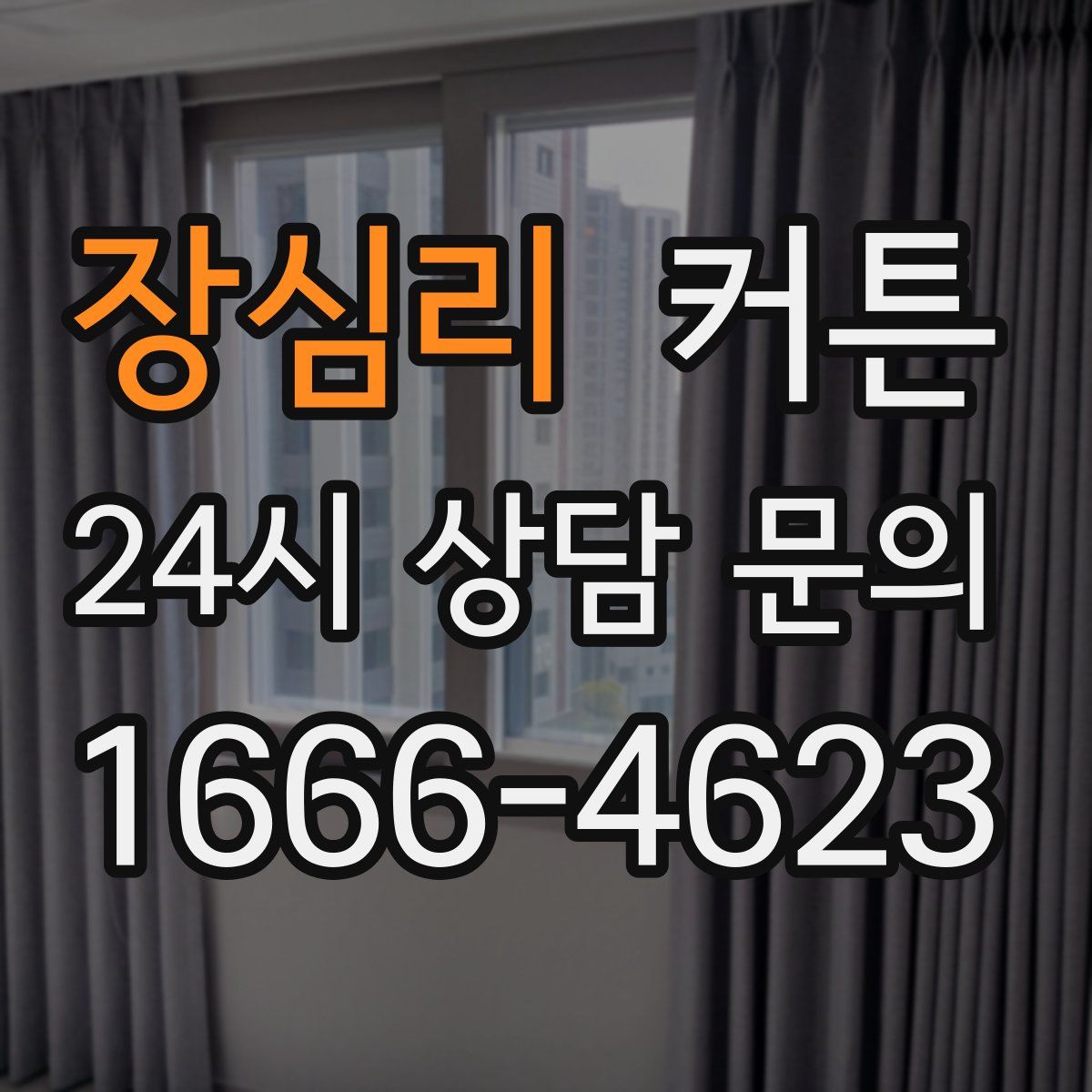 장심리 커튼