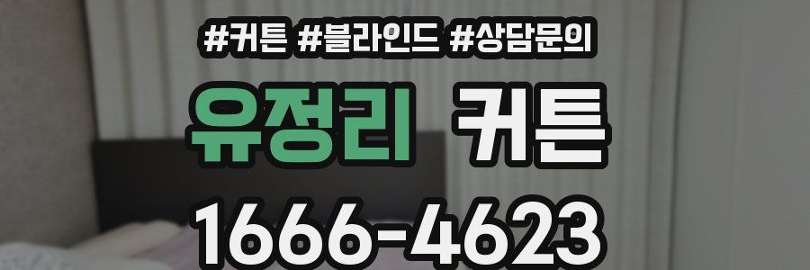 유정리 커튼