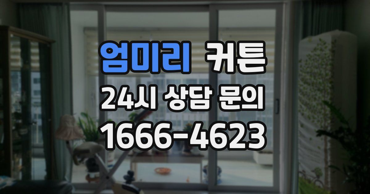 엄미리 커튼