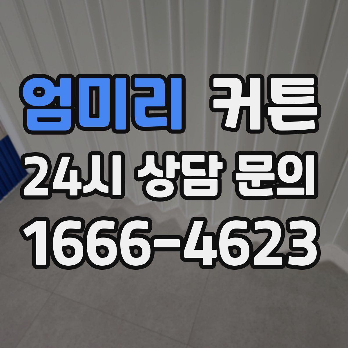 엄미리 커튼