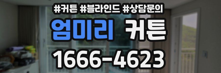 엄미리 커튼