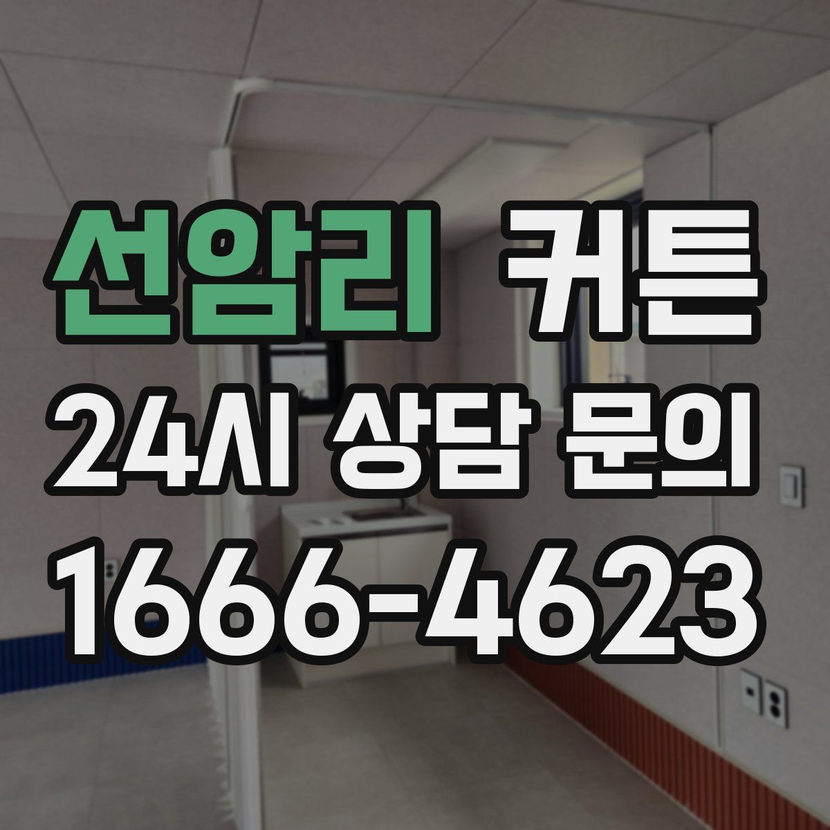 선암리 커튼