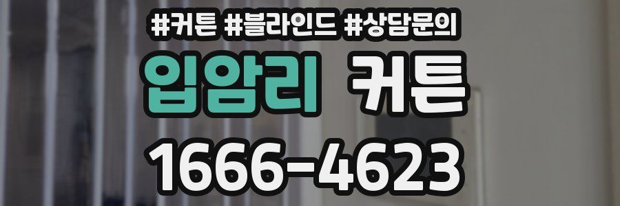 입암리 커튼