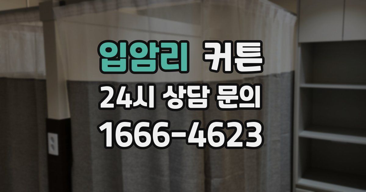 입암리 커튼