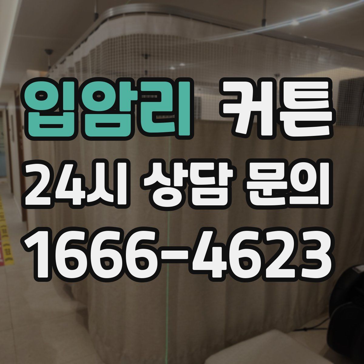 입암리 커튼