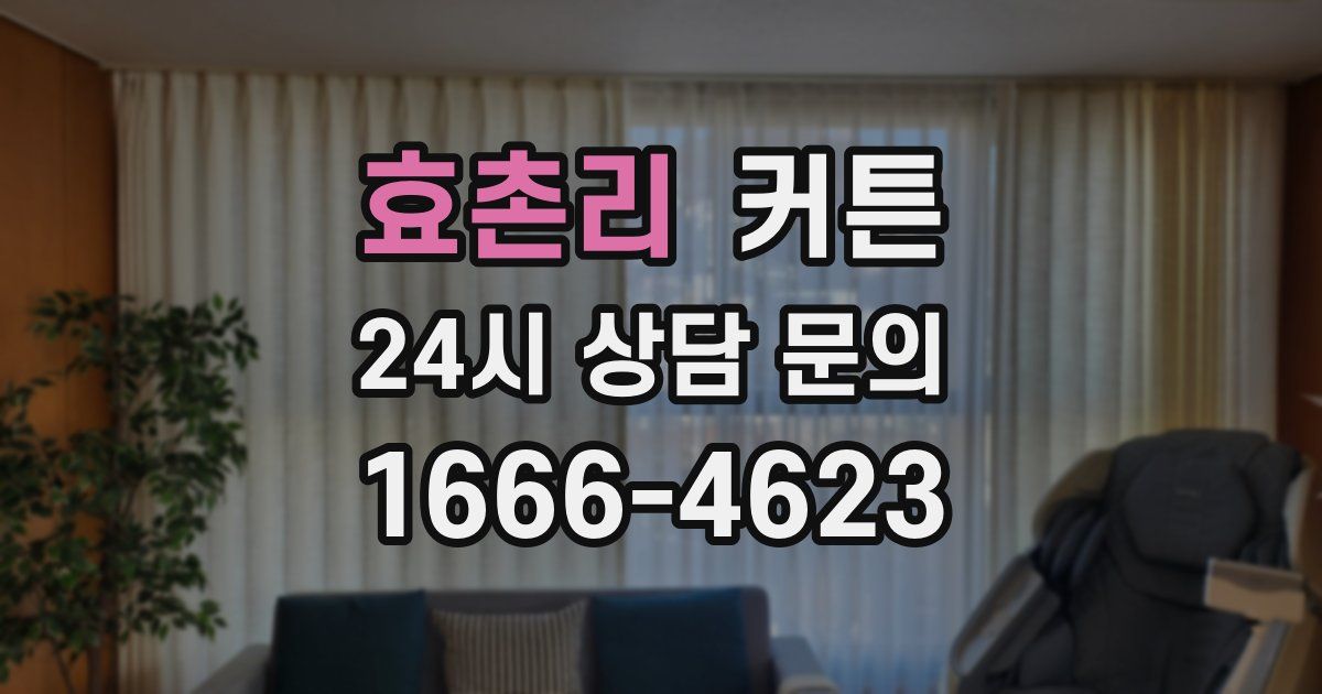 효촌리 커튼