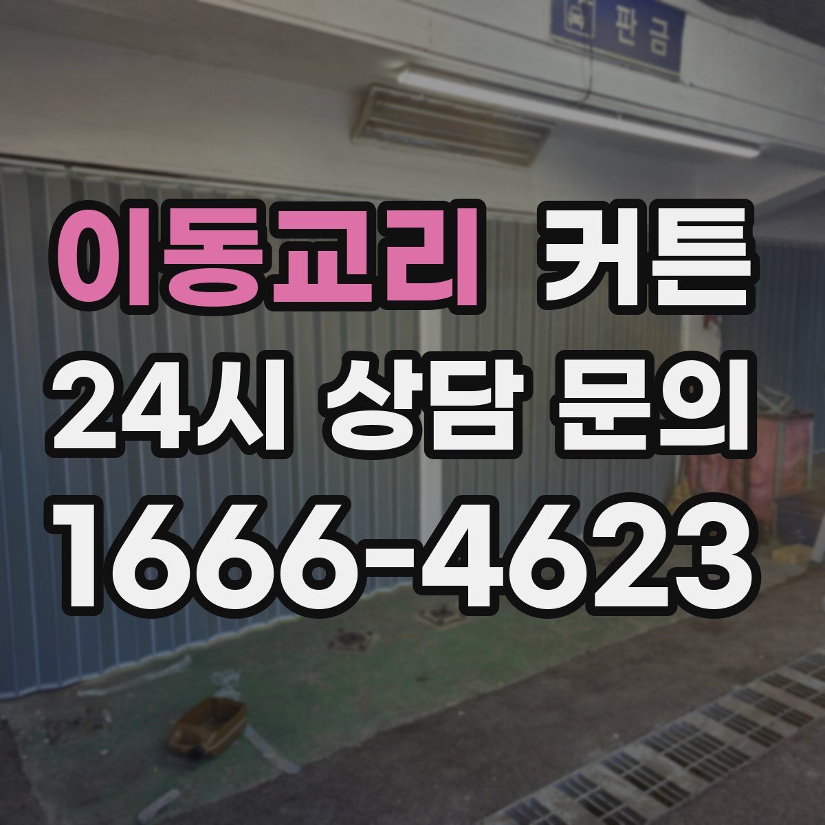 이동교리 커튼