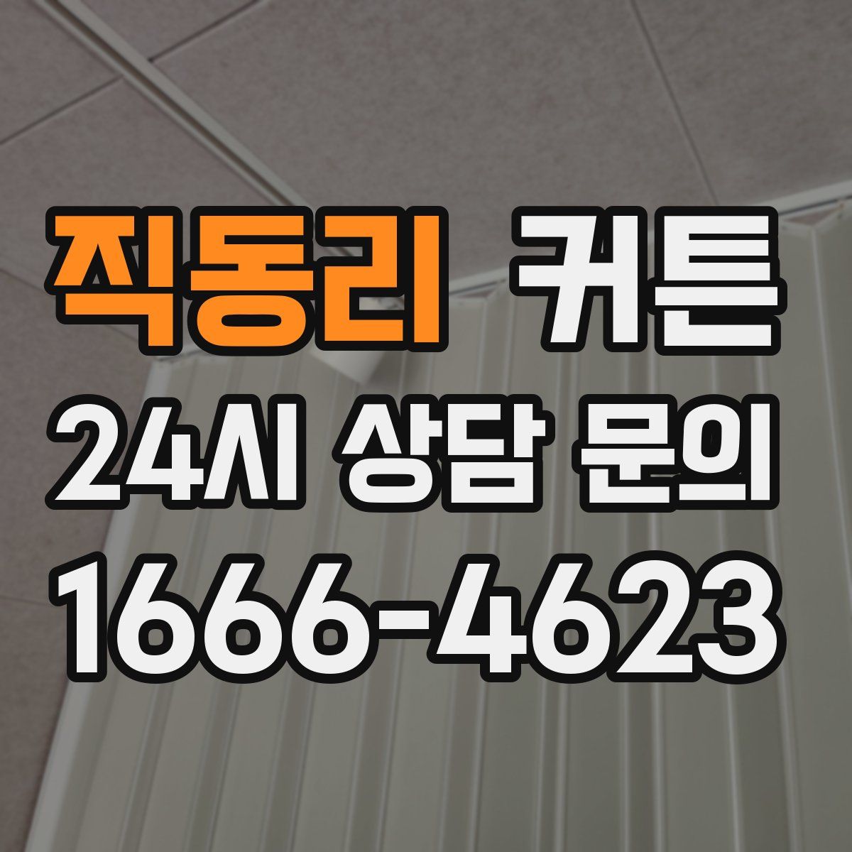 직동리 커튼
