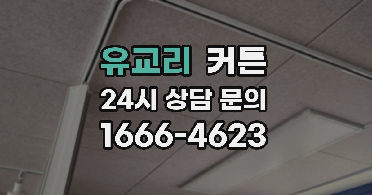 유교리 커튼