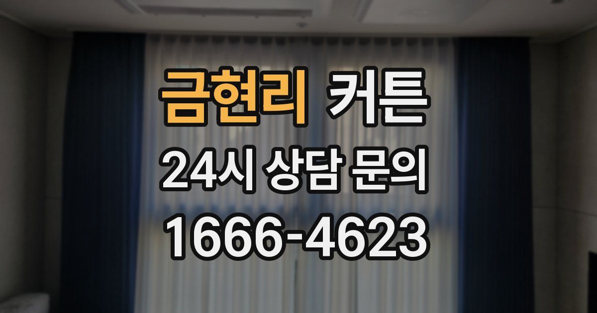 금현리 커튼