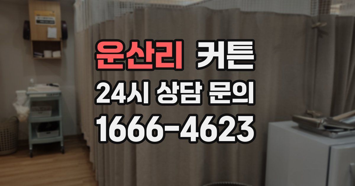 운산리 커튼