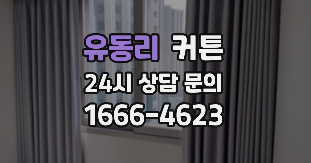 유동리 커튼