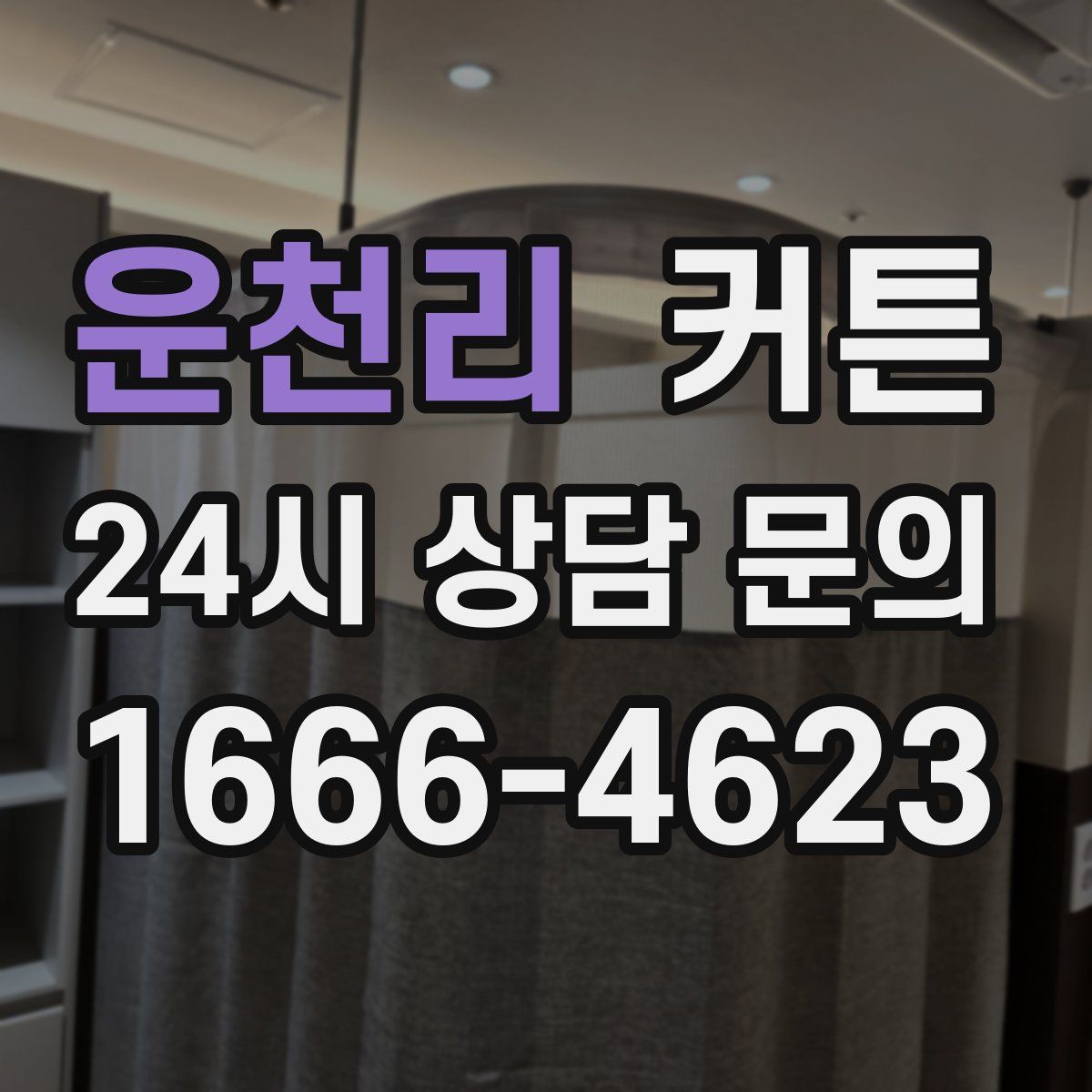 운천리 커튼