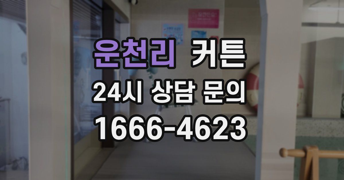 운천리 커튼