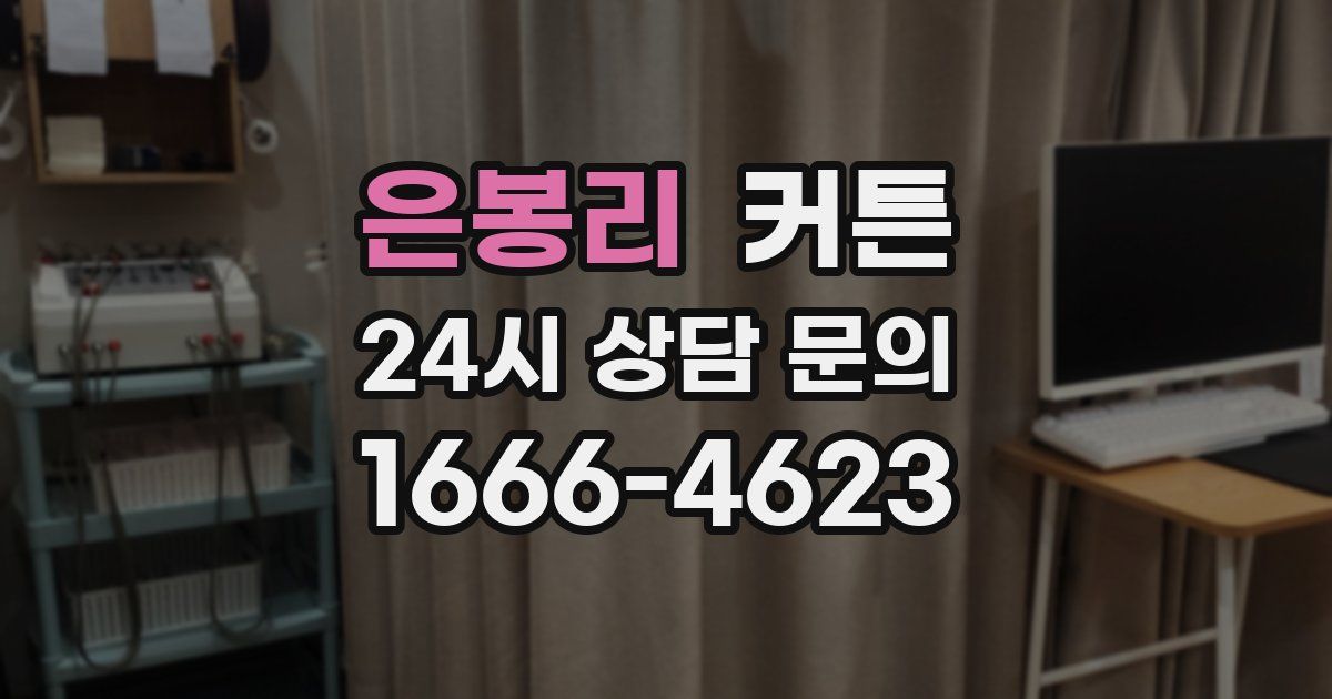 은봉리 커튼