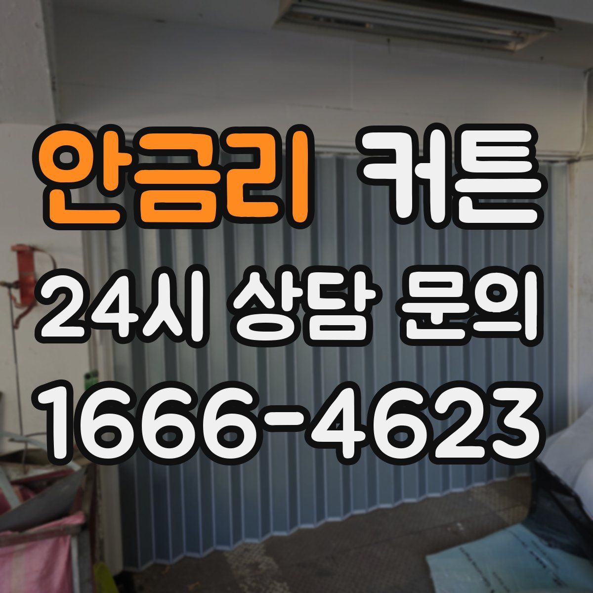 안금리 커튼