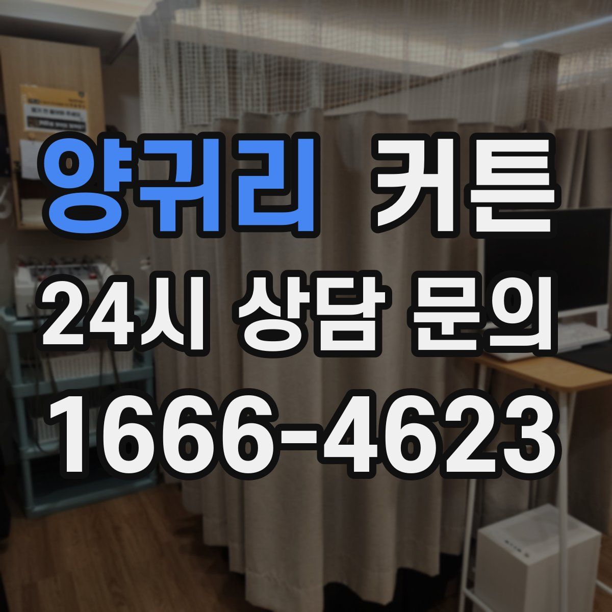 양귀리 커튼