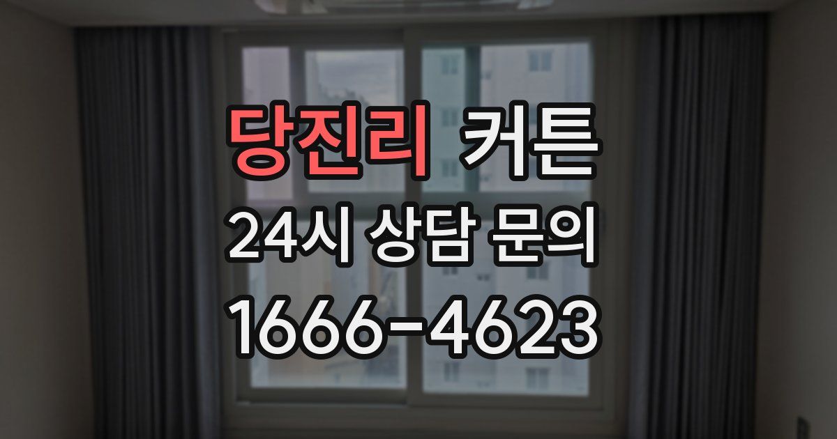 당진리 커튼